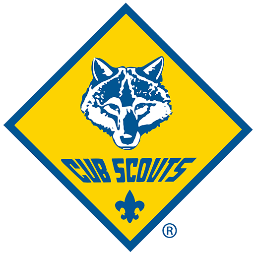 Cub Scout Pack 287